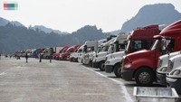 Trucks waiting for customs clearance at Northern border gates yet to decrease
