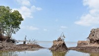 Kien Giang Province invests more than VND17 trillion to prevent erosion
