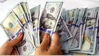 Dollar prices rebound to above VND24,000 at commercial banks