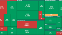 Shares gain on strong buying force