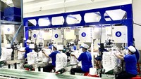 Rice processing for export at Trung An Hi-tech Farming JSC.