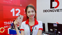 Các model iPhone đã rục rịch giảm giá mùa cuối năm