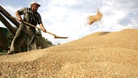 Ministry removes difficulties for enterprises importing US farm produce