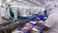 Nearly 700 Vietnamese enterprises eligible to export seafood to Taiwan