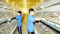 Sources of domestic raw materials for animal feed need creating urgently