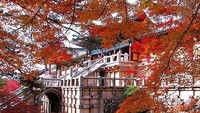 UNESCO World Heritage Site Bulguksa Temple in Gyeongju