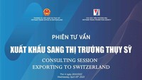 The consulting session is slated for April 20. (VNA)