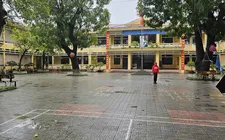 Trường Tiểu học Nguyễn Trãi