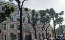 Vụ “Cắt tỉa quá tay, mảng xanh trơ trụi”: Rà soát, rút kinh nghiệm công tác cắt tỉa cây xanh