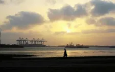 Gần 500 container chè Việt Nam bị kẹt tại Pakistan được tái xuất