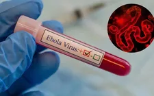 Số ca mắc và tử vong do Ebola gia tăng, công tác truy vết gặp nhiều khó khăn