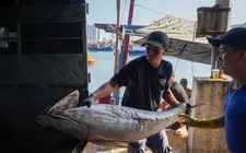 Ngư dân Khánh Hòa hứng khởi đón chuyến biển đầu xuân
