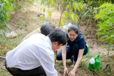 Vietcap trao tặng 6.000 cây tại rừng phòng hộ Dầu Tiếng