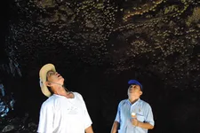 Yến sào Khánh Hoà - 35 năm vươn tầm - Tự hào thương hiệu Quốc gia