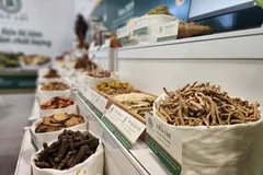 Traditional medicine development drives towards specialization