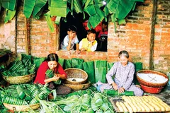Tết ở rừng