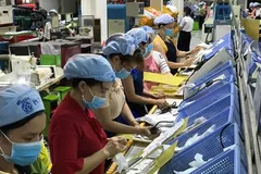 Số lượng DN thành lập mới đã vượt DN rút lui khỏi thị trường