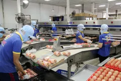 Doanh nghiệp thực phẩm 'ngóng' Nghị định 09 sửa đổi