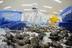 Xuất khẩu tôm trước mối lo kép từ thị trường Mỹ