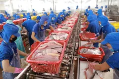 Xuất khẩu nông, lâm, thuỷ sản thu về 28 tỷ USD sau 5 tháng