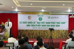 Gạo Việt phát thải thấp lần đầu đi Nhật Bản