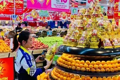 Giao nhiệm vụ cho các sở công thương sau sáp nhập
