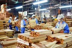 Mỹ khởi xướng điều tra kép gỗ dán cứng Việt Nam 