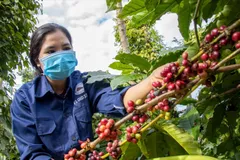 Cà phê Việt được ưa chuộng tại khối RCEP