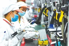 Bộ Tài chính chủ trì công tác nâng cao hiệu quả hoạt động của DNNN