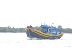 TPHCM: Cấp giấy phép khai thác cho 100% tàu cá đủ điều kiện