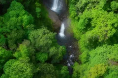 Vẻ đẹp hùng vĩ của 2 thác nước vừa phát hiện ở Kon Plông