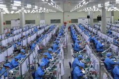 TPHCM: Gần 6.300 doanh nghiệp được mở mới trong 2 tháng