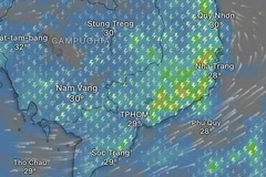 Dự báo TPHCM tiếp tục có mưa dông trong ngày 5-6