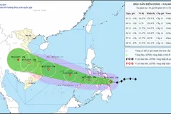 Bão Kalmaegi giật cấp 15 dự báo đổ bộ Đà Nẵng - Khánh Hoà