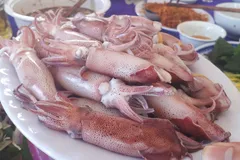 Hà Tĩnh: Mực nhảy Vũng Áng hấp dẫn du khách