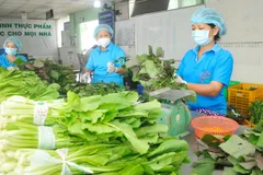 Nhiều điểm sáng trong 'bức tranh' kinh tế TPHCM