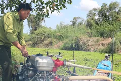 ĐBSCL: Sẵn sàng phòng chống cháy rừng
