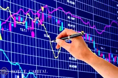 Dòng P nổi sóng, VN Index tái lập mốc 700 điểm