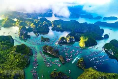 Vietnam not oriented towards culture of tourism