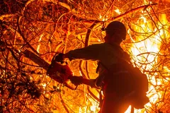 Cháy rừng ở Los Angeles: Ít nhất 24 người đã thiệt mạng