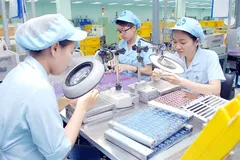 Creating Synergy Between FDI and Domestic Private Enterprises