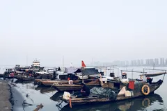 Các tàu cá Trung Quốc đang neo đậu. Ảnh minh họa: Unsplash.