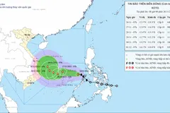 Vị trí và đường đi của bão số 15 (KOTO). Ảnh: KTTV
