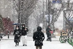 Tuyết rơi dày trên đường phố trung tâm thủ đô Seoul, Hàn Quốc. Ảnh tư liệu: YONHAP/TTXVN