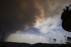 Khói bốc lên từ đám cháy rừng ở Blue Mountain, New South Wales, Australia. Ảnh tư liệu: THX/TTXVN