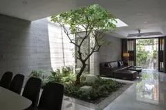 Không gian xanh cho nhà phố thị