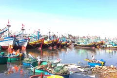 Tàu cá nằm bờ vì thiếu hụt lao động