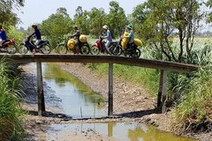 Không được lơ là phòng chống hạn mặn