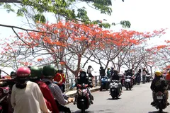 Vũng Tàu cấm tắm biển, du khách kéo nhau lên núi chụp hình