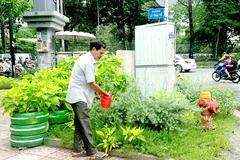 Huy động sức dân tạo không gian xanh